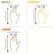 Disposable TPE Gloves Waterproof Protective Gloves for Kitchen, Cleaning & Food Prep