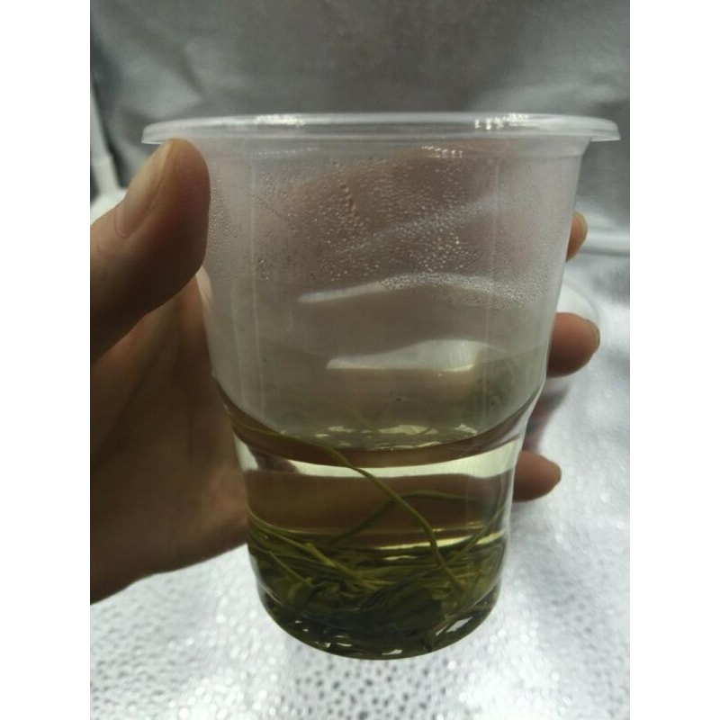 Clear Plastic Cups Durable Disposable Cups for Party, Picnic & Event Tableware