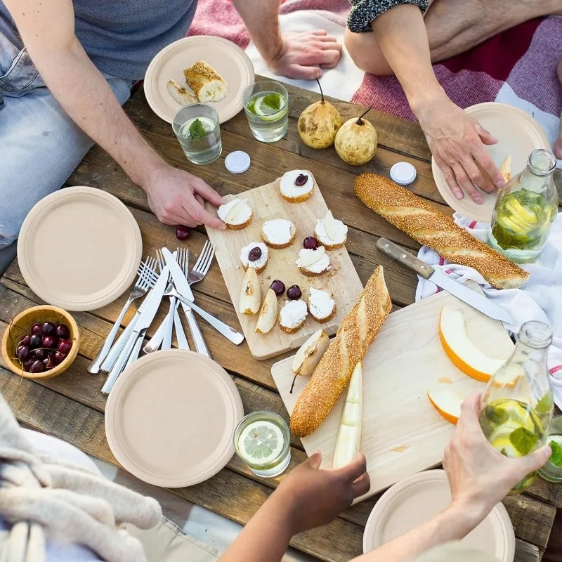 Biodegradable Paper Plates for Parties Picnics BBQ and Desserts