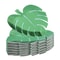 Palm Leaf Party Plates For Beach Summer Birthday Parties 0
