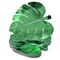 Palm Leaf Party Plates For Beach Summer Birthday Parties 6