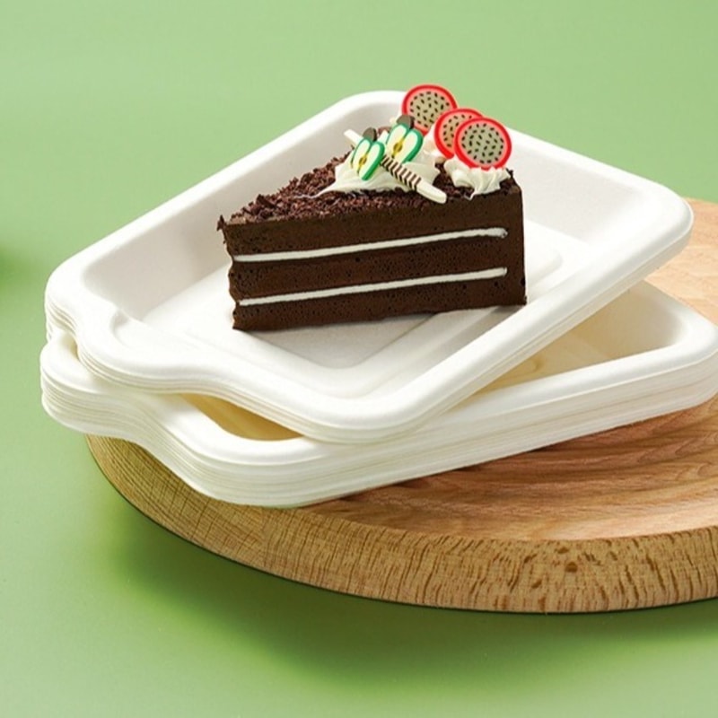 Biodegradable Disposable Paper Plates Thick Compostable Party Plates 2