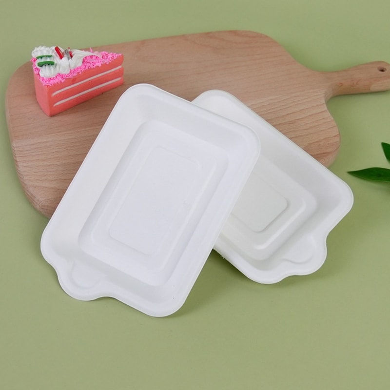 Biodegradable Disposable Paper Plates Thick Compostable Party Plates 3