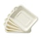 Biodegradable Disposable Paper Plates Thick Compostable Party Plates 7