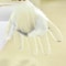 Disposable Transparent Plastic Gloves for Food Prep Waterproof Gloves Protection