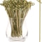 Natural Bamboo Cocktail Picks & Knot Skewers Garnish Sticks for Drinks, Fruit, Charcuterie