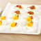 Disposable Tasting Plates Compostable Microwavable & Freezable