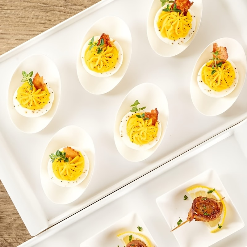 Disposable Tasting Plates Compostable Microwavable & Freezable