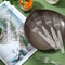 Clear Transparent Disposable Forks for Dessert, Fruit and Party Serving