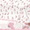 Pink Bow Cowgirl Birthday Tablecloth For Girls Western Party Decorations 4