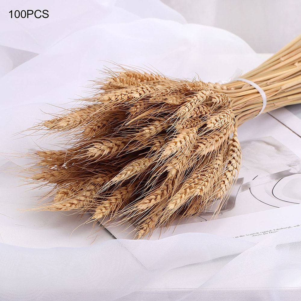 Natural Dried Wheat Stalks Bundle for Boho Farmhouse Decor and Wedding Centerpieces