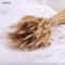 Natural Dried Wheat Stalks Bundle for Boho Farmhouse Decor and Wedding Centerpieces