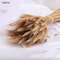 Natural Dried Wheat Stalks Bundle for Boho Farmhouse Decor and Wedding Centerpieces