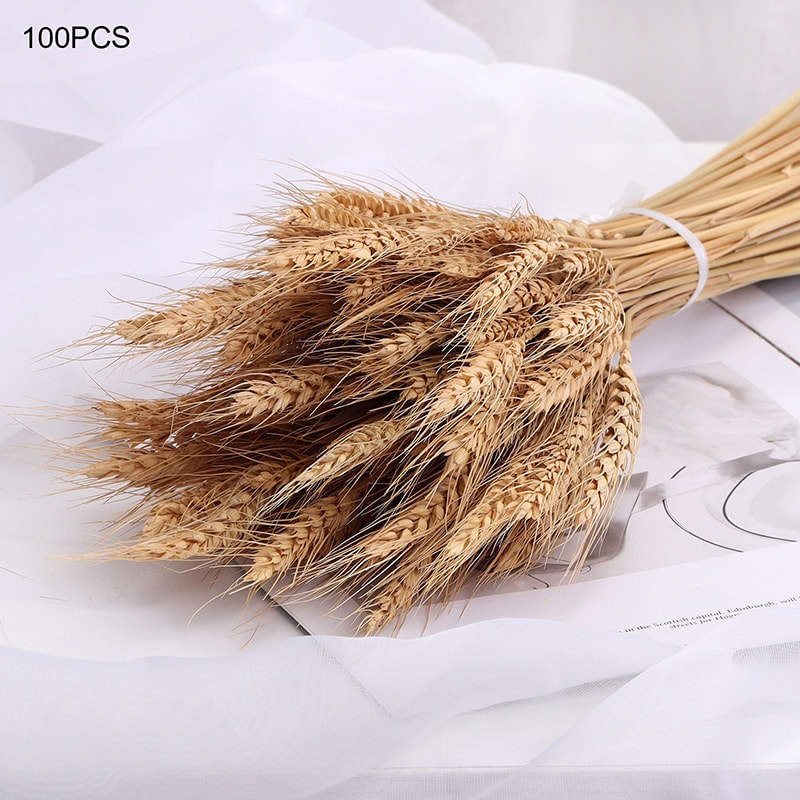 Natural Dried Wheat Stalks Bundle for Boho Farmhouse Decor and Wedding Centerpieces