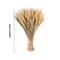 Natural Dried Wheat Stalks Bundle for Boho Farmhouse Decor and Wedding Centerpieces