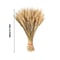 Natural Dried Wheat Stalks Bundle for Boho Farmhouse Decor and Wedding Centerpieces