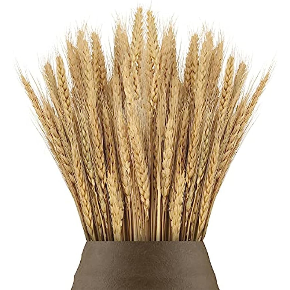 Natural Dried Wheat Stalks Bundle for Boho Farmhouse Decor and Wedding Centerpieces