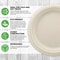 Organic Disposable Tableware And Cutlery Set For BBQ Birthday Everyday Use 1
