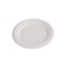 Organic Disposable Tableware And Cutlery Set For BBQ Birthday Everyday Use 4