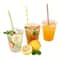 Premium Clear Disposable Plastic Party & Picnic Cups
