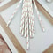 Colorful Biodegradable Disposable Paper Straws Party & Wedding Drink Decor