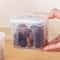 Airtight Fridge Organizer & Refrigerator Storage Box