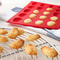 Premium Mini Madeleine Pan & Shell Cake Mold for Cookies, Biscuits & DIY Treats