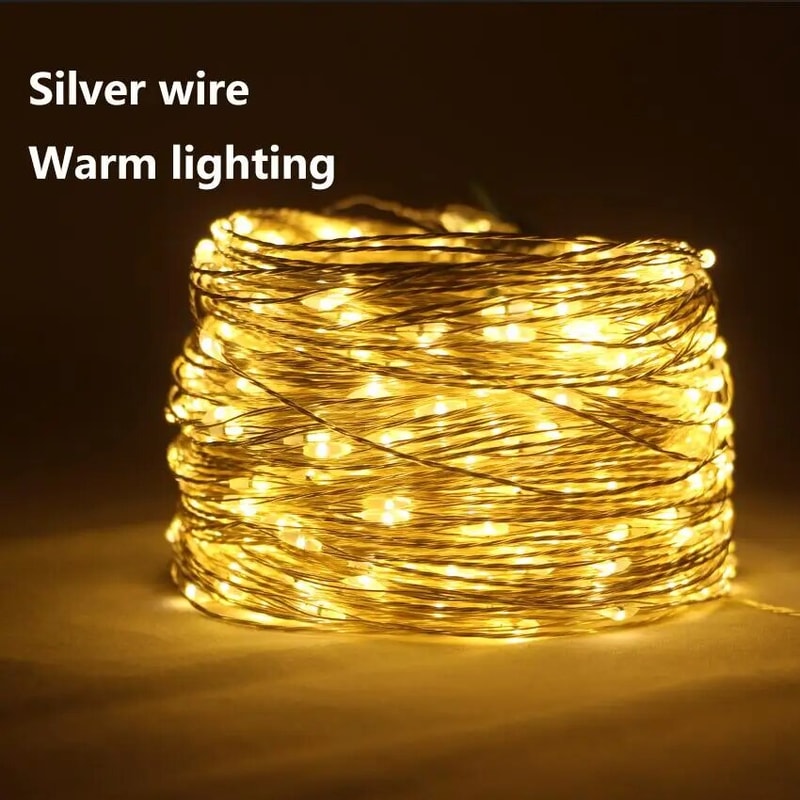 s2Fx100MLEDStringLightsSilverWireFairyLightsGarlandForOutdoorNewYearChristmasPartyStr