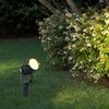 9sB0LED-Garden-Lights-Outdoor-LED-Waterprof-Lawn-Lamp-220V110V12V-5W-Landscape-Spike-Bulb-IP65-Led-Light.jpg