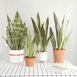 DIY Artificial Sansevieria Branch: Outdoor Fake Plants for Home Garden Decoration