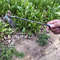 md9dManganese-Steel-Garden-Weeders-Grass-Rooting-Loose-Soil-Hand-Weeding-Removal-Puller-Gardening-Tools-Multifunctional-Weeder.jpg