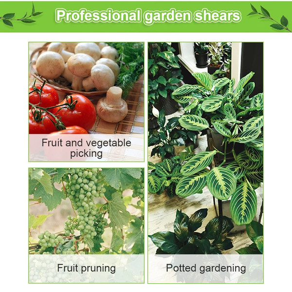 ThZFGarden-Pruning-Shears-Stainless-Steel-Pruner-Fruit-Picking-Household-Potted-Weed-Pruning-Scissors-Straight-Elbow-Pruning.jpg