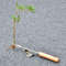 71odSteel-Root-Extractor-Wooden-Hand-Weeder-Removal-Machine-Weed-Puller-Garden-Grass-Puller-Long-Handle-Tools.jpg