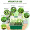 qxGfSeed-Starter-Tray-Box-With-LED-Grow-Light-Nursery-Pot-Seedling-Germination-Planter-Adjustable-Ventilation-Humidity.jpg