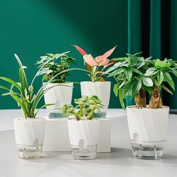 Transparent Self-Watering Hydroponic Flower Pot for Office - Automatic, Double-Layered Plastic Design