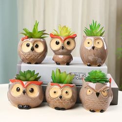 cute owl ceramic flower pot - adorable animal succulent planter for garden or office decor