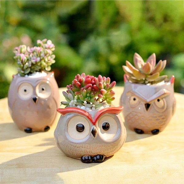 uCqECute-Owl-Ceramic-Flower-Pot-Garden-Office-Decoration-Succulent-Mini-Owl-Flowerpot-Cute-Animal-Flowerpot-Cactus.jpg