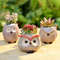 EbOzCute-Owl-Ceramic-Flower-Pot-Garden-Office-Decoration-Succulent-Mini-Owl-Flowerpot-Cute-Animal-Flowerpot-Cactus.jpg