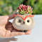 f8MwCute-Owl-Ceramic-Flower-Pot-Garden-Office-Decoration-Succulent-Mini-Owl-Flowerpot-Cute-Animal-Flowerpot-Cactus.jpg