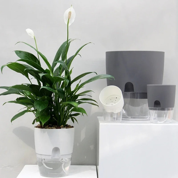 xVu5Self-Watering-Flower-Pot-Plastic-Hydroponics-Plants-Pot-Transparent-Double-Layer-Cotton-Rope-Watering-Succulent-Potted.jpg