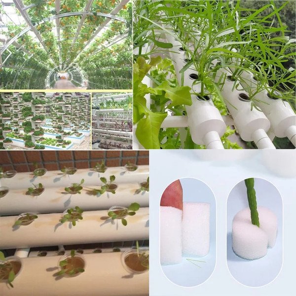 I8AM50pcs-Hydroponic-Soilless-Mesh-Net-basket-Plant-veg-Grow-Nursery-Cup-Pot-Sponge-tray-Aeroponic-Veg.jpg
