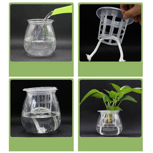 nW0H50pcs-Hydroponic-Soilless-Mesh-Net-basket-Plant-veg-Grow-Nursery-Cup-Pot-Sponge-tray-Aeroponic-Veg.jpg
