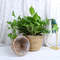 jvZuStraw-Weaving-Flower-Plant-Pot-Basket-Grass-Planter-Basket-Indoor-Outdoor-Flower-Pot-Cover-Plant-Containers.jpg