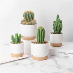 Round Double-layer Self-Watering Flowerpot for Succulents: Automatic Water Absorption & Storage in Small Green Plant Pot