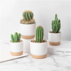 round double-layer self-watering flowerpot for succulents: automatic water absorption & storage in small green plant pot