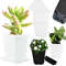 fUPp20pcs-Mini-Basin-Square-Flower-Pot-Succulent-Plant-Trays-DIY-Colorful-Flowerpot-Planters-Grow-Pot-Home.jpeg