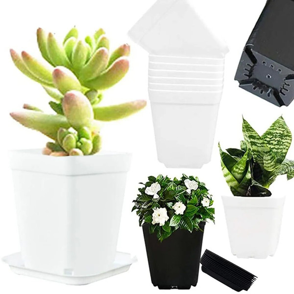 fUPp20pcs-Mini-Basin-Square-Flower-Pot-Succulent-Plant-Trays-DIY-Colorful-Flowerpot-Planters-Grow-Pot-Home.jpeg