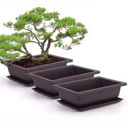 purple clay succulent pots: outdoor garden bonsai planters