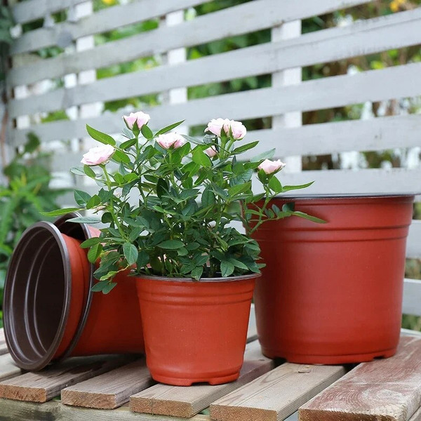 WZ1r50-20pcs-Plastic-Flowerpots-Simple-Nursery-Seedling-Pot-Flowers-Seed-Breeding-Planters-Container-Box-Garden-Supplies.jpg