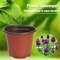 J4BP50-20pcs-Plastic-Flowerpots-Simple-Nursery-Seedling-Pot-Flowers-Seed-Breeding-Planters-Container-Box-Garden-Supplies.jpg